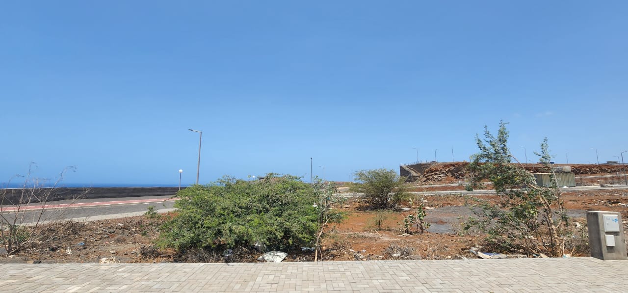 Terreno em Vila Esperança - Photo 4