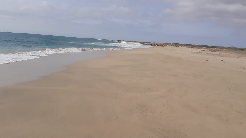 First line, white sand, investment property – Maio - Photo 3