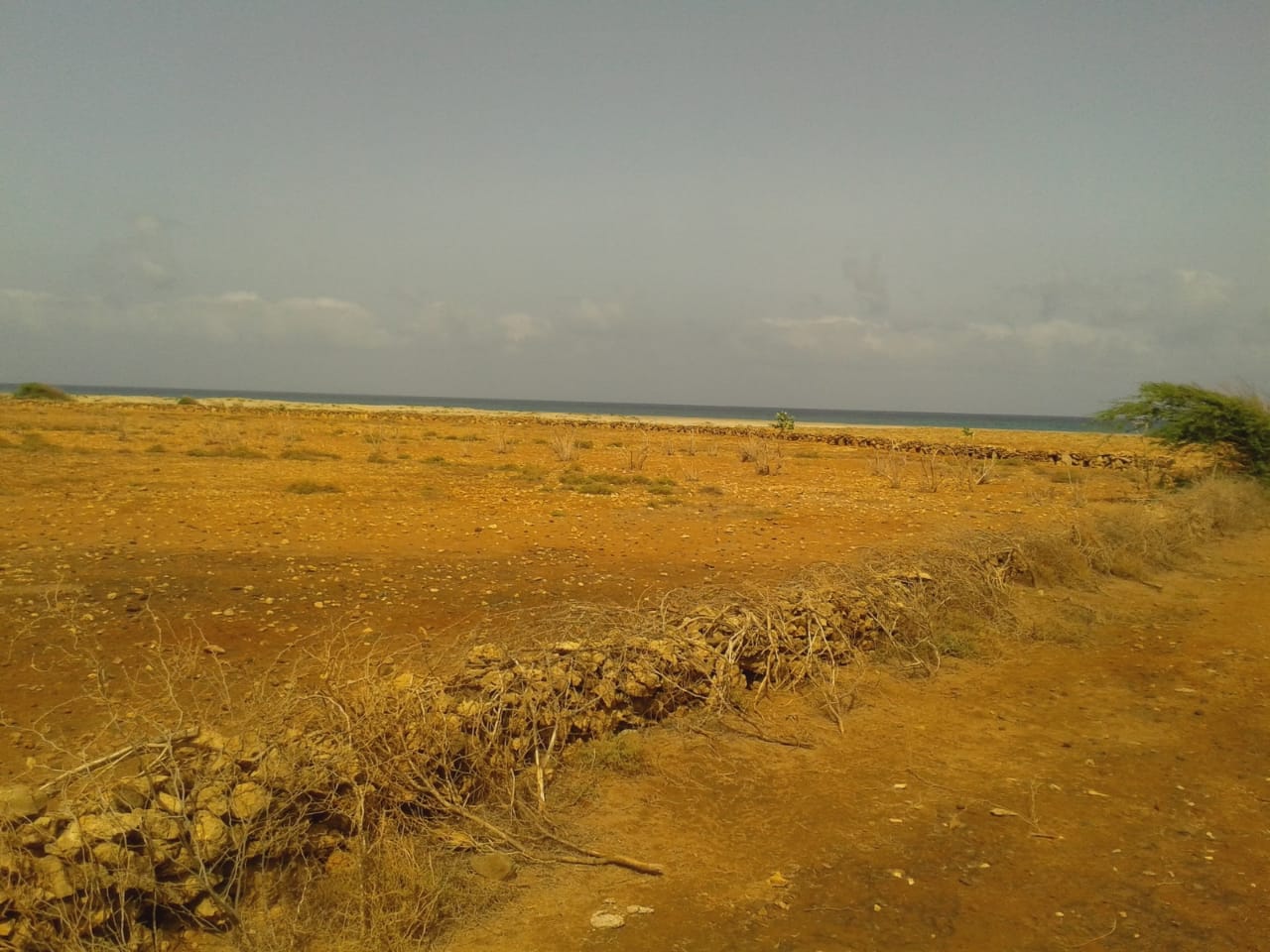 First line, white sand, investment property – Maio - Photo 4