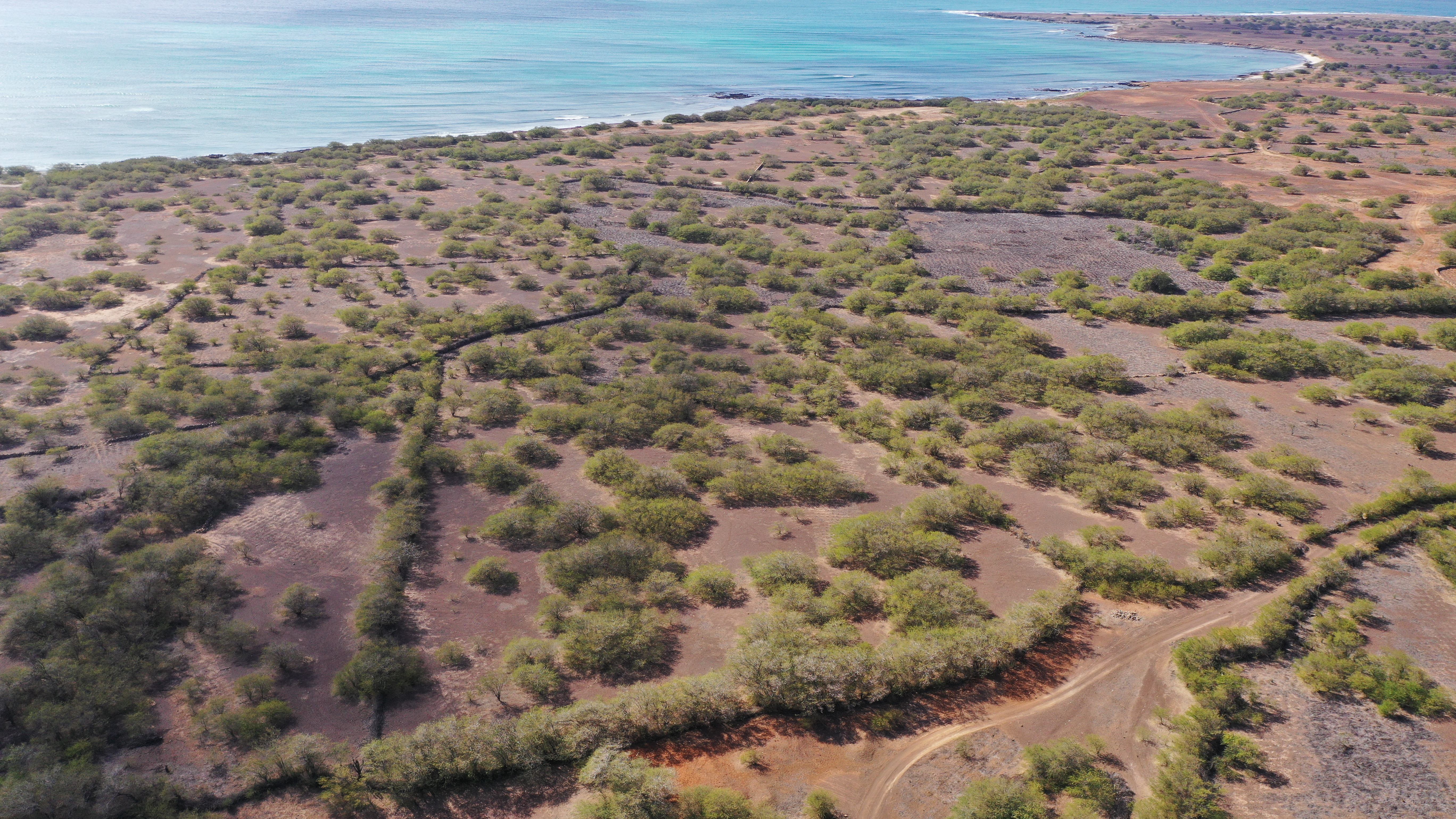 PROPERTY ON THE POVOAÇAO VELHA STREET BY THE SANTA MONICA BEACH - Photo 4