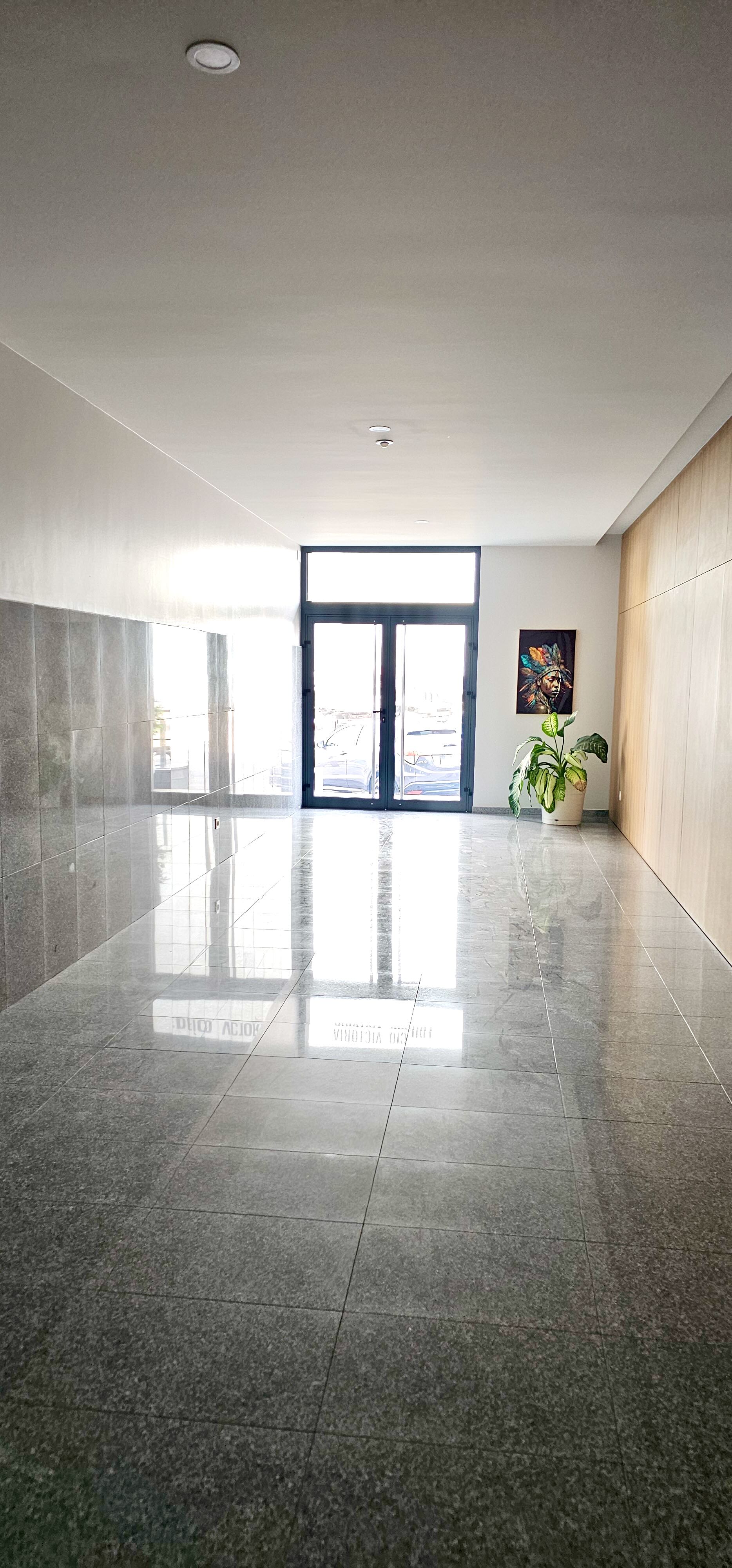 T3 em Palmarejo Baixo - Photo 2