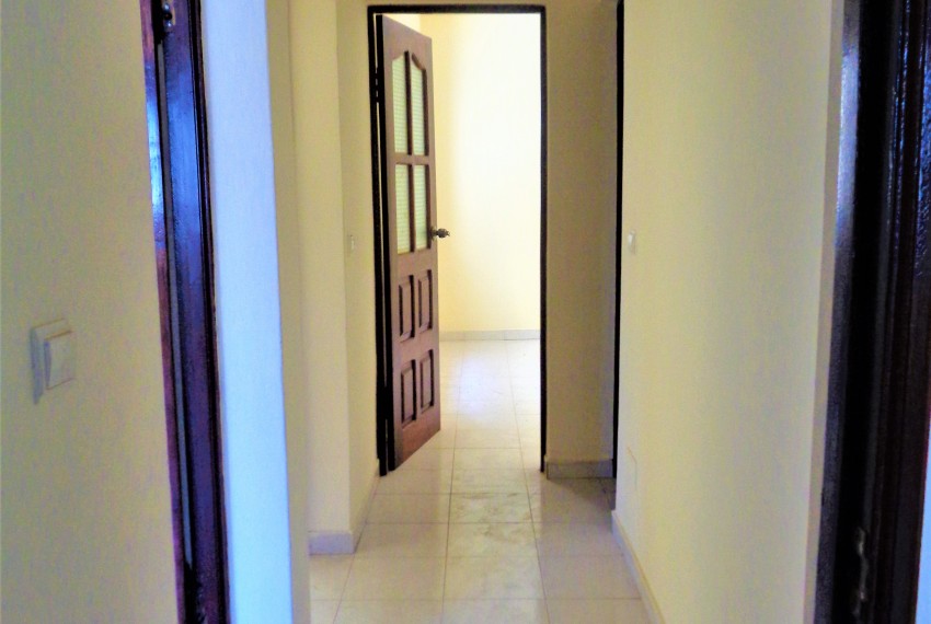 T3 Terra Branca - Photo 4