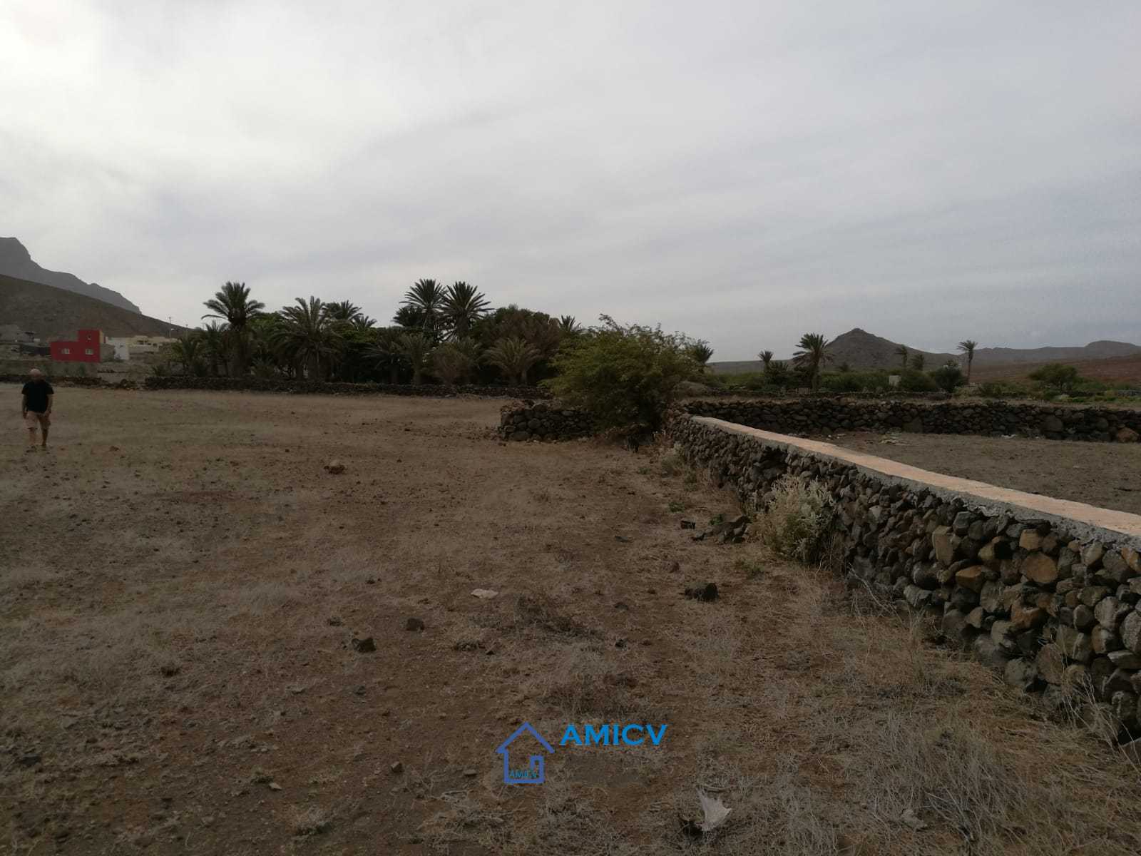 TERRENO RIBEIRA DE CALHAU – 6181M2 - Photo 2